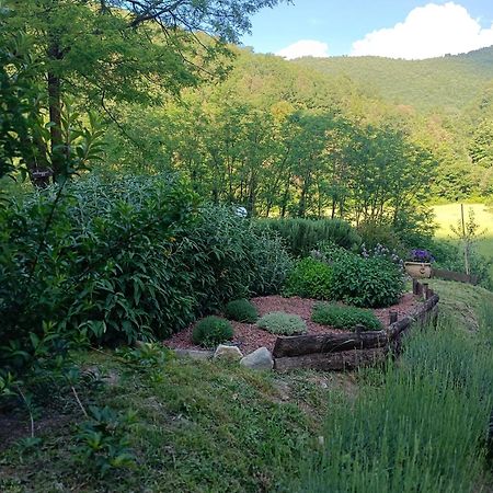 Locanda Di Alberi Borgo San Lorenzo Eksteriør billede