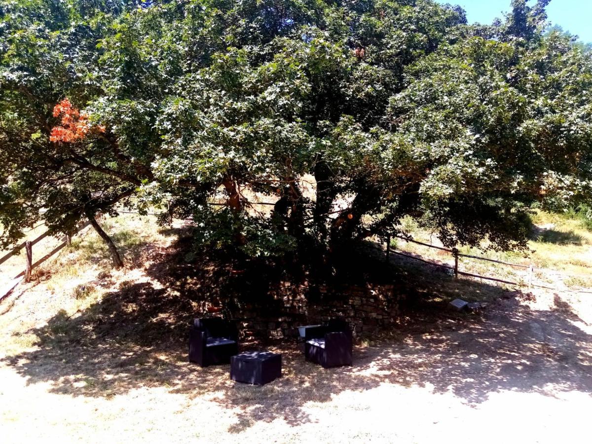 Locanda Di Alberi Borgo San Lorenzo Eksteriør billede
