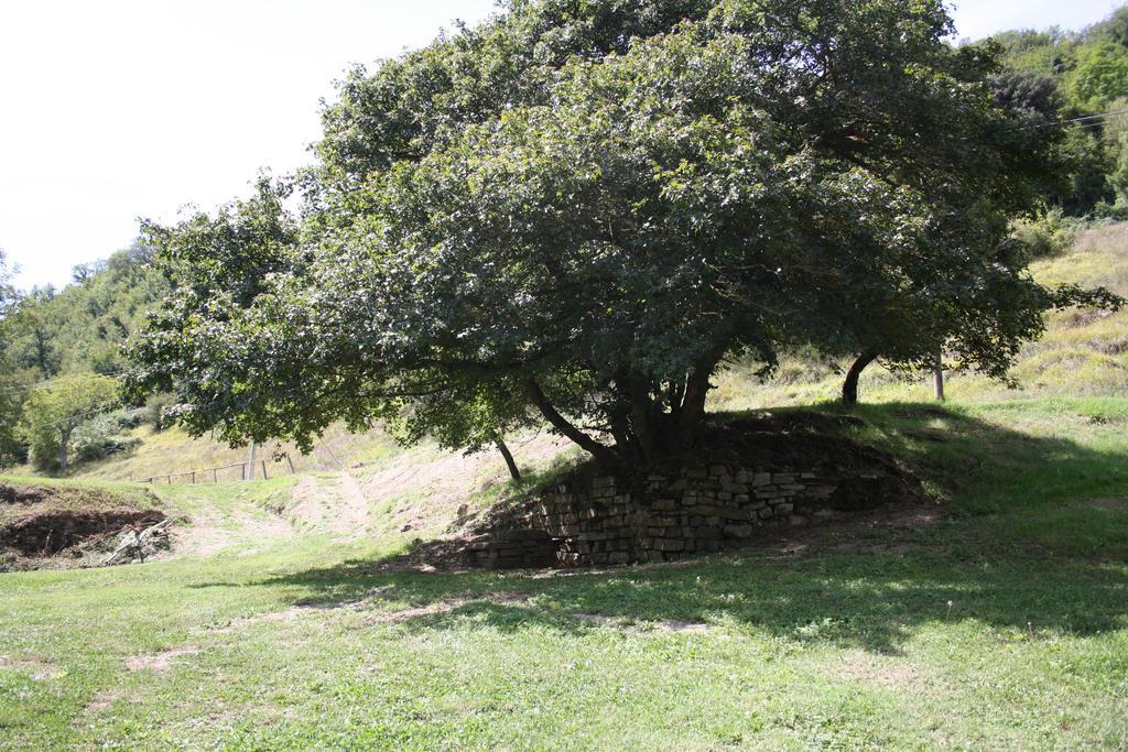 Locanda Di Alberi Borgo San Lorenzo Eksteriør billede