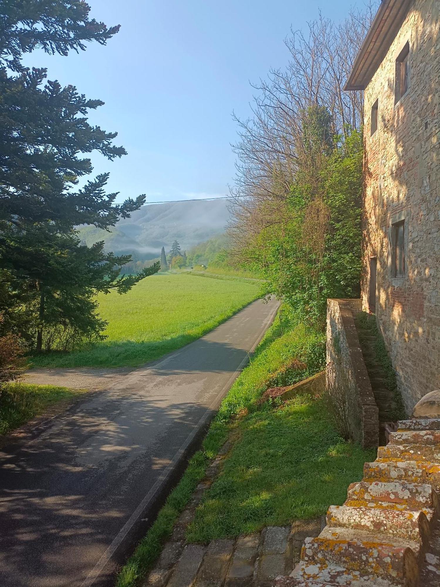 Locanda Di Alberi Borgo San Lorenzo Eksteriør billede