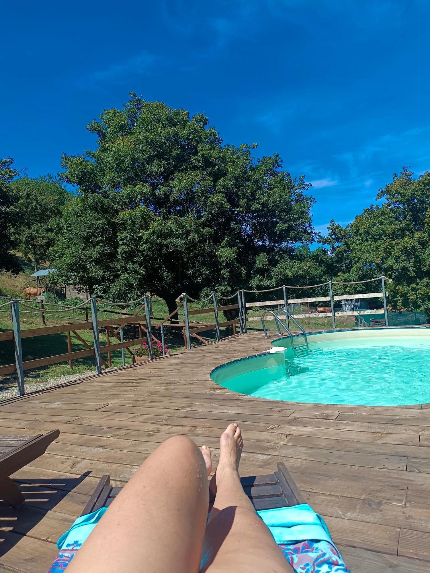 Locanda Di Alberi Borgo San Lorenzo Eksteriør billede