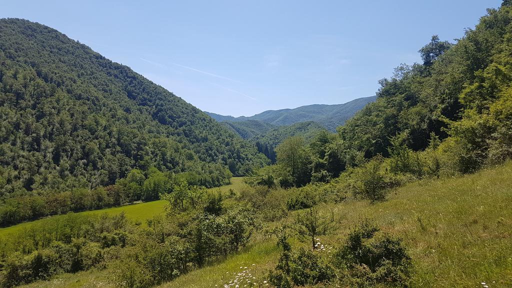 Locanda Di Alberi Borgo San Lorenzo Eksteriør billede